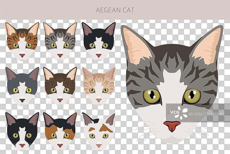 爱琴海猫剪贴画全套毛色图片素材