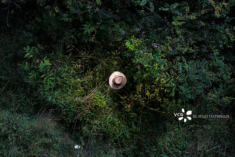 幽深的草地俯瞰帽子图片素材