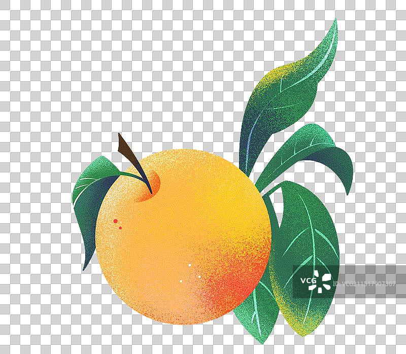 橙色黄桃水果叶子插画图片素材