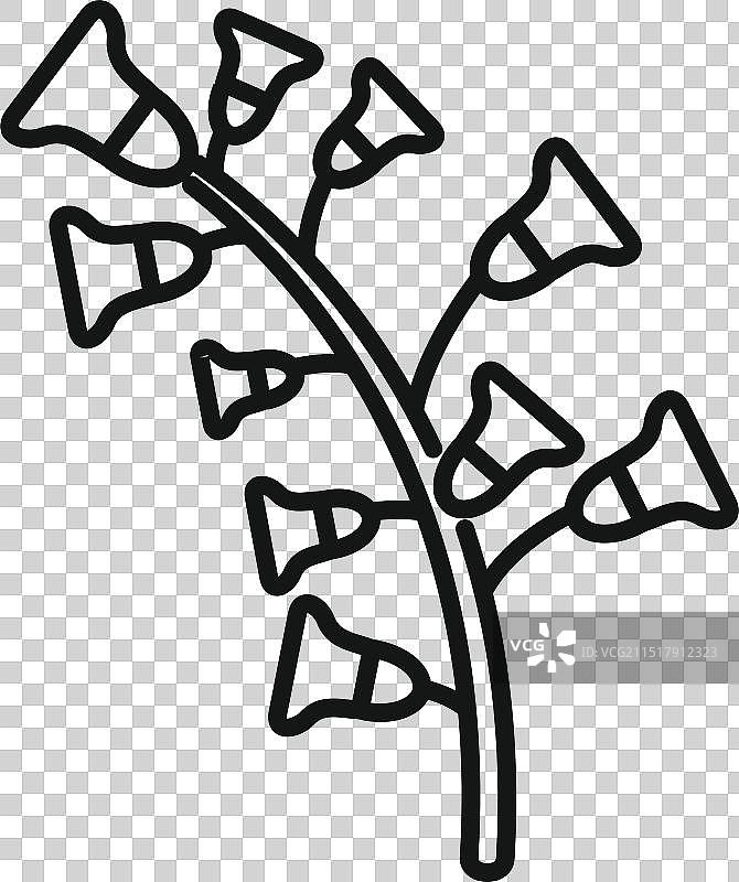 生长在茎上的毛地黄花图片素材