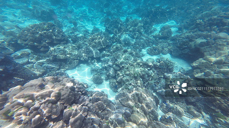 泰国普吉岛珊瑚岛图片素材