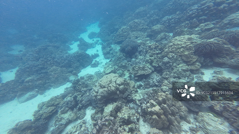 泰国普吉岛珊瑚岛图片素材