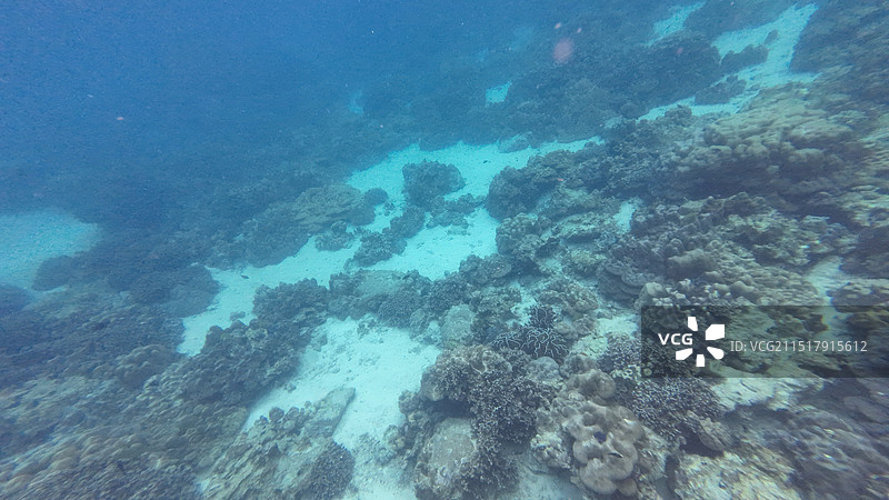 泰国普吉岛珊瑚岛图片素材