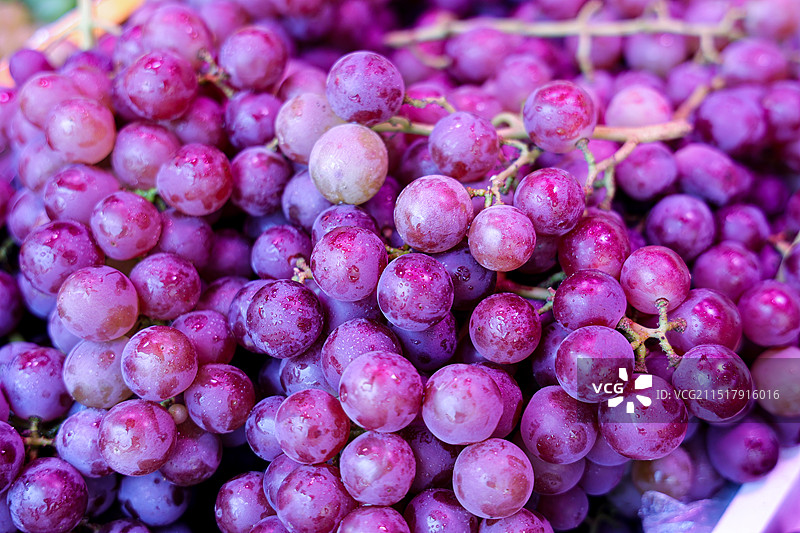 葡萄；紫葡萄；图片素材