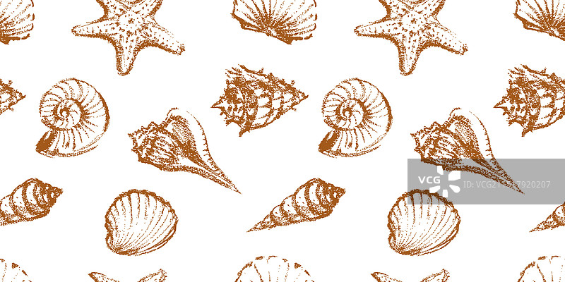 各种纹理的海贝无缝图案图片素材