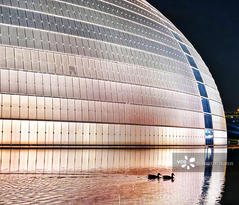 国家大剧院夜景图片素材