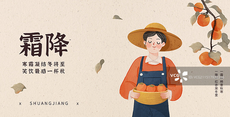 秋天柿子节气霜降秋分水彩插画图片素材