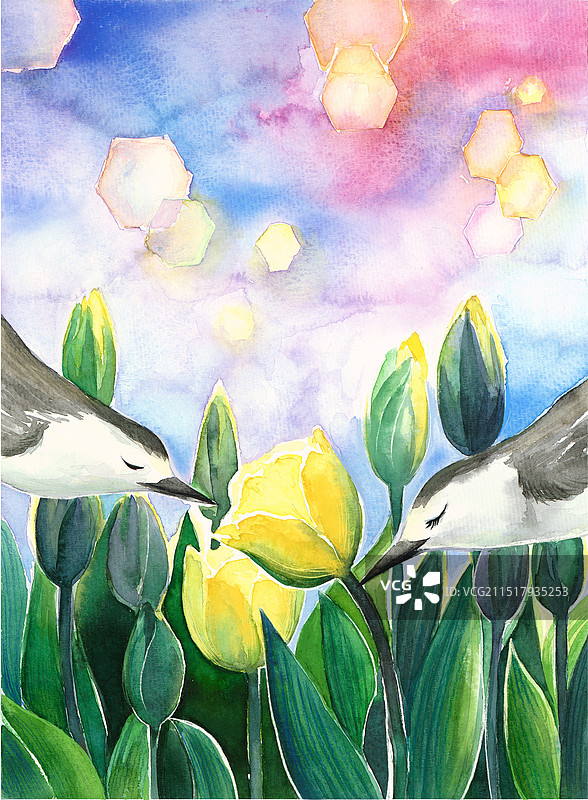手绘水彩，鸟与郁金香图片素材