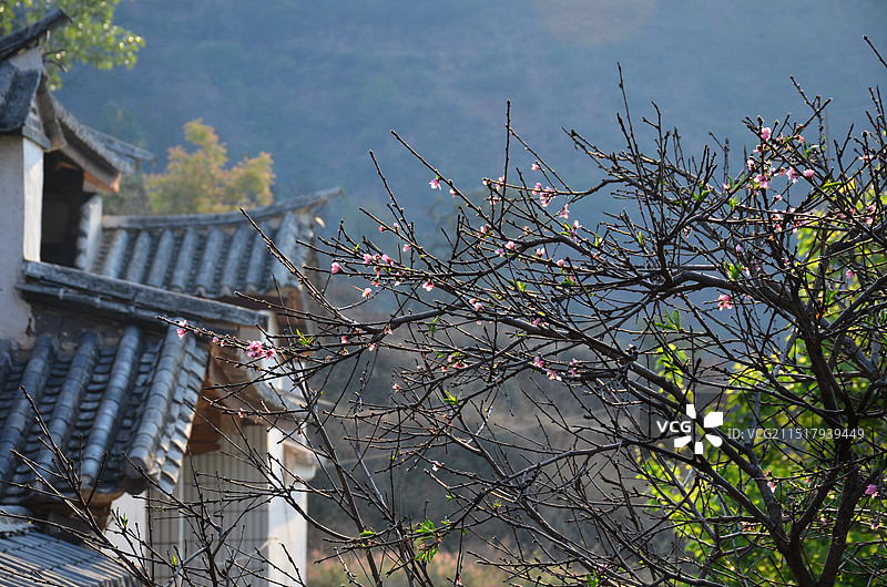 农家小院图片素材