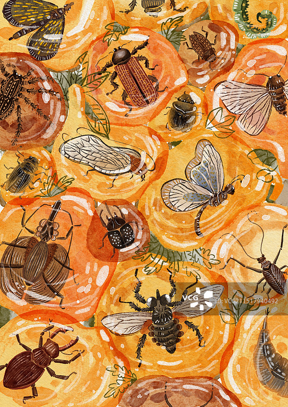 秋日琥珀图片素材