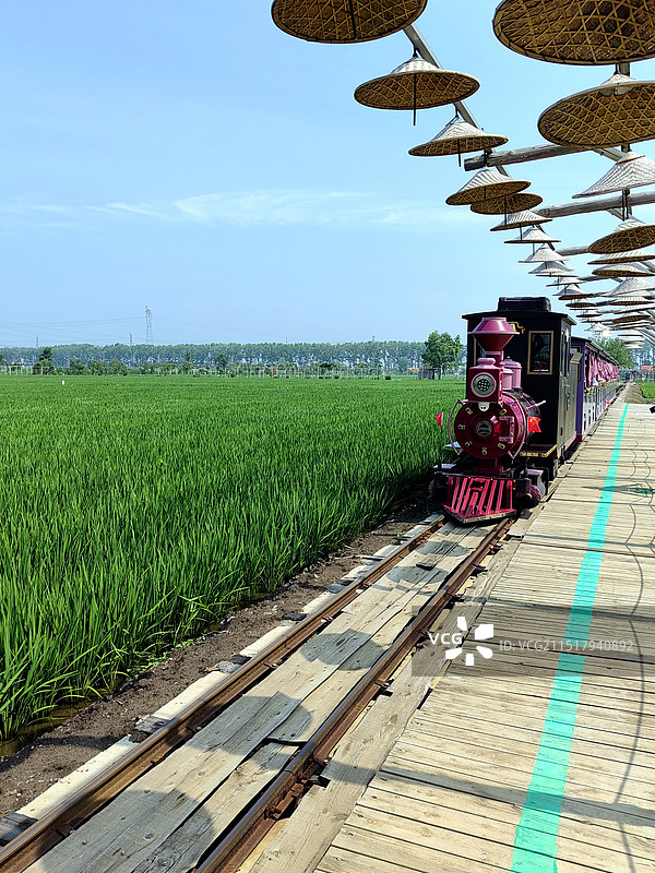 麦田小火车进站了——拍摄于沈阳稻梦空间图片素材
