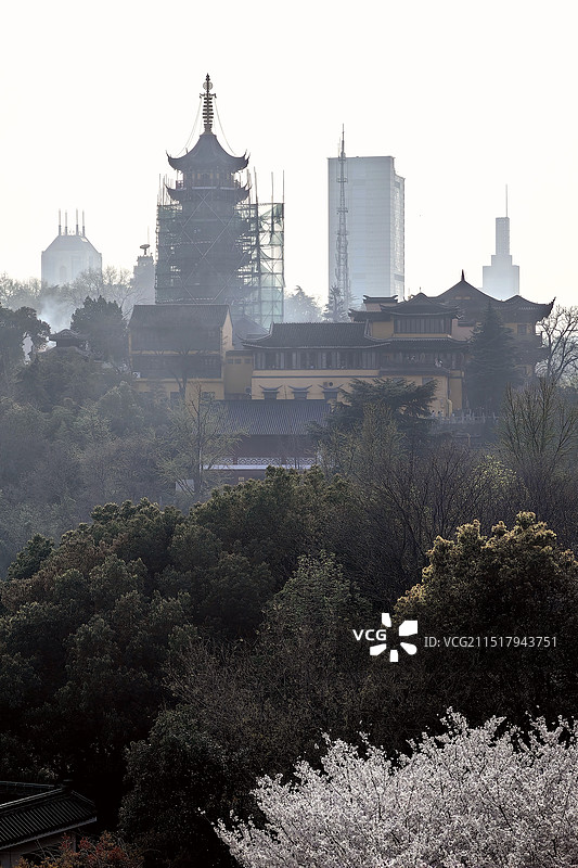 樱花季时的鸡鸣寺图片素材