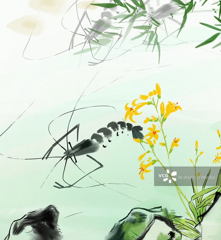 齐白石，虾，游泳图片素材