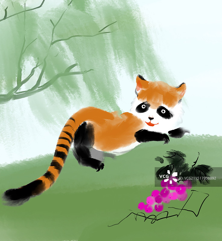 小熊猫，小浣熊图片素材