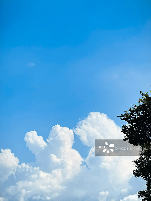 长得像两只狗狗的云朵在蓝天里轻吻图片素材