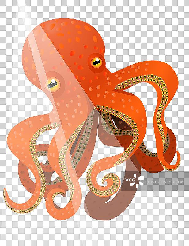 巨型红色章鱼图片素材