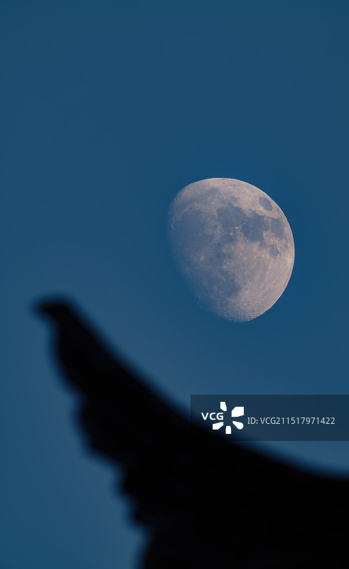 中秋前夜图片素材