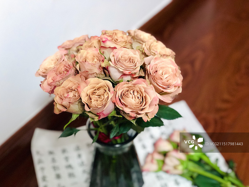 玫瑰花图片素材