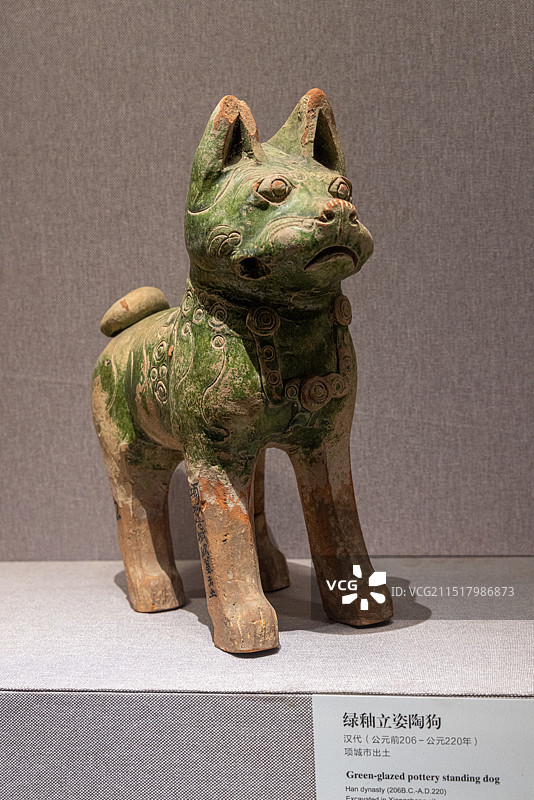 河南博物馆 汉 绿釉立姿陶狗 项城市出土图片素材