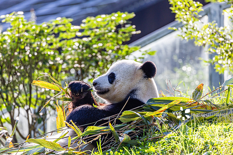 神农架，官门山景区风光图片素材