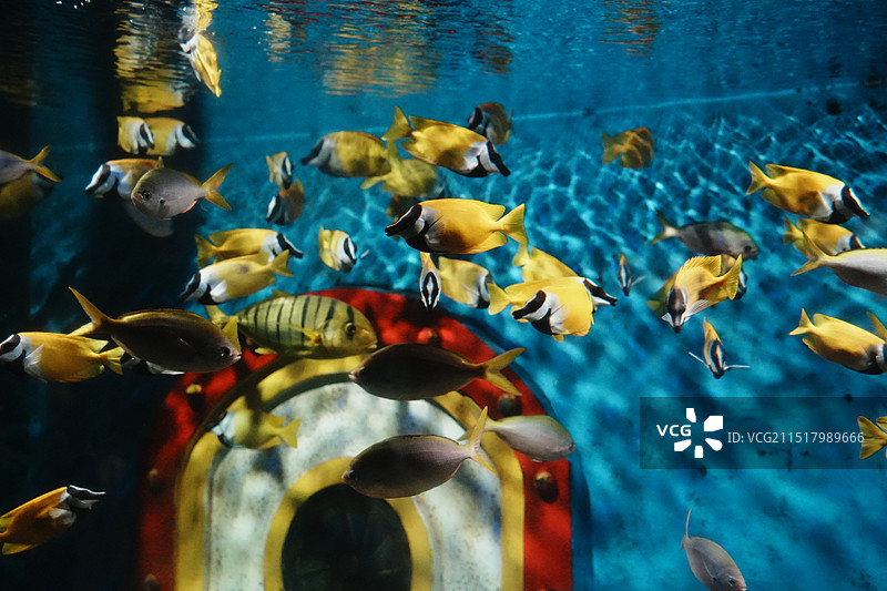 大连圣亚海洋世界图片素材