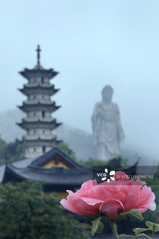 烟雨中牡丹花映衬下的灵山大佛图片素材