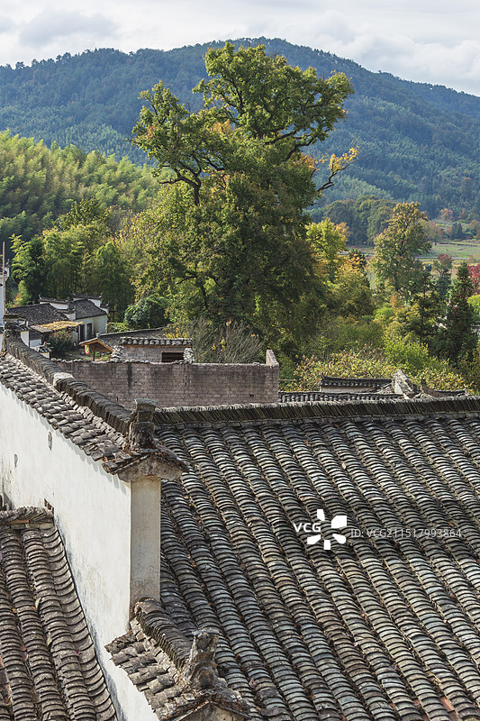 塔川古村秋色迷人图片素材