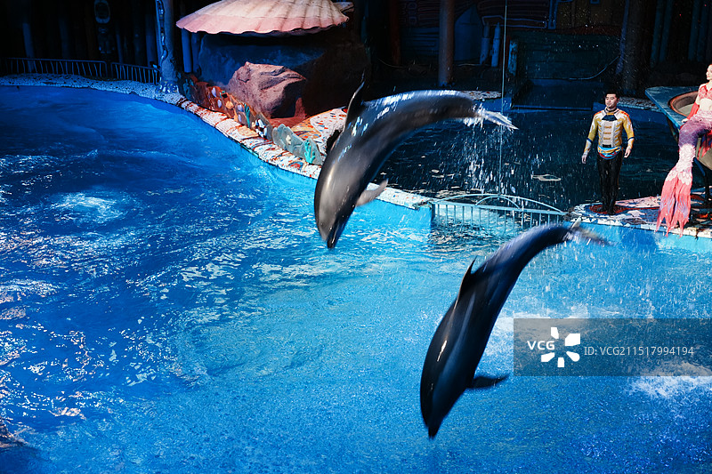 大连圣亚海洋世界图片素材