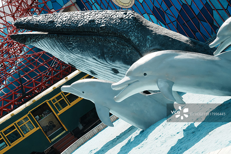 大连圣亚海洋世界图片素材