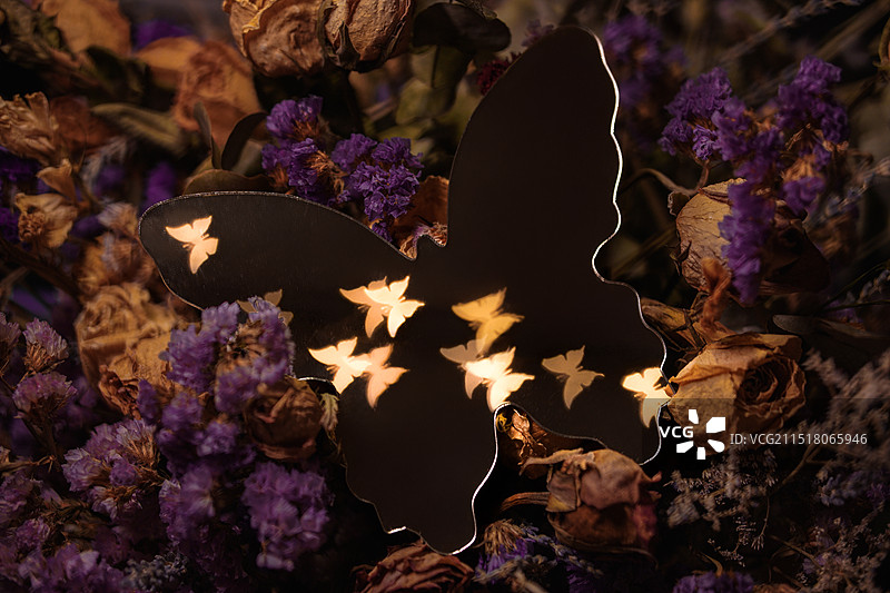 花间舞，镜中蝶图片素材