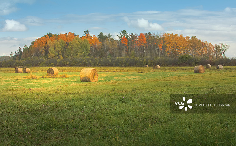 加拿大赏枫之旅途中景色图片素材