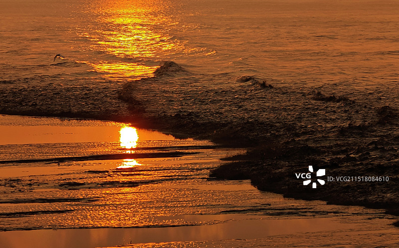 落日.潮涌.飞鸟图片素材