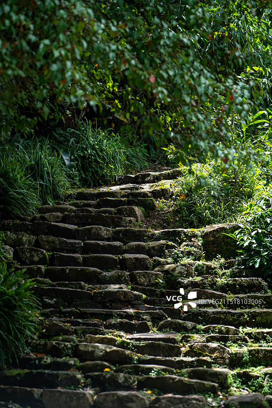云南普洱茶马古道图片素材