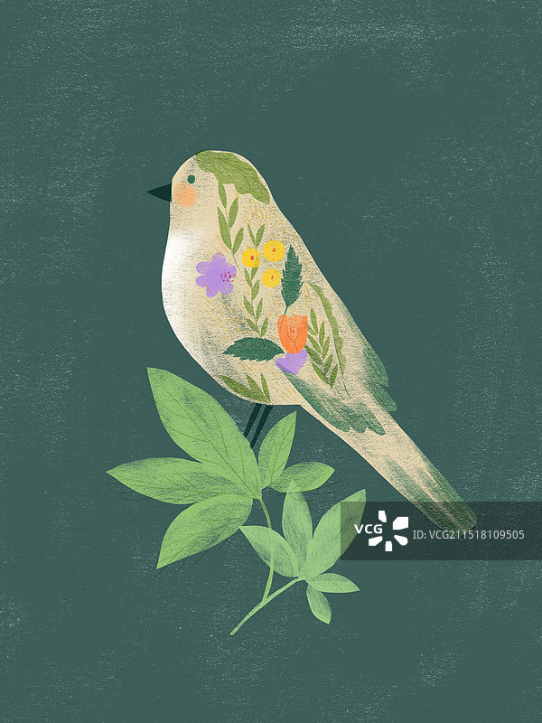 枝叶上的鸟背景插画图片素材