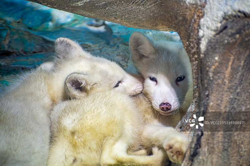 哈尔滨极地馆图片素材