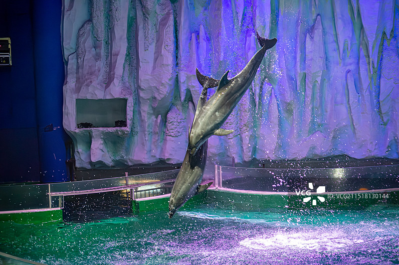 哈尔滨极地馆图片素材