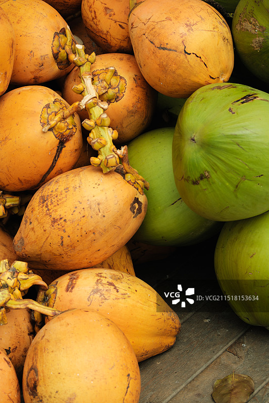 海南特产万宁金椰子和青椰子图片素材