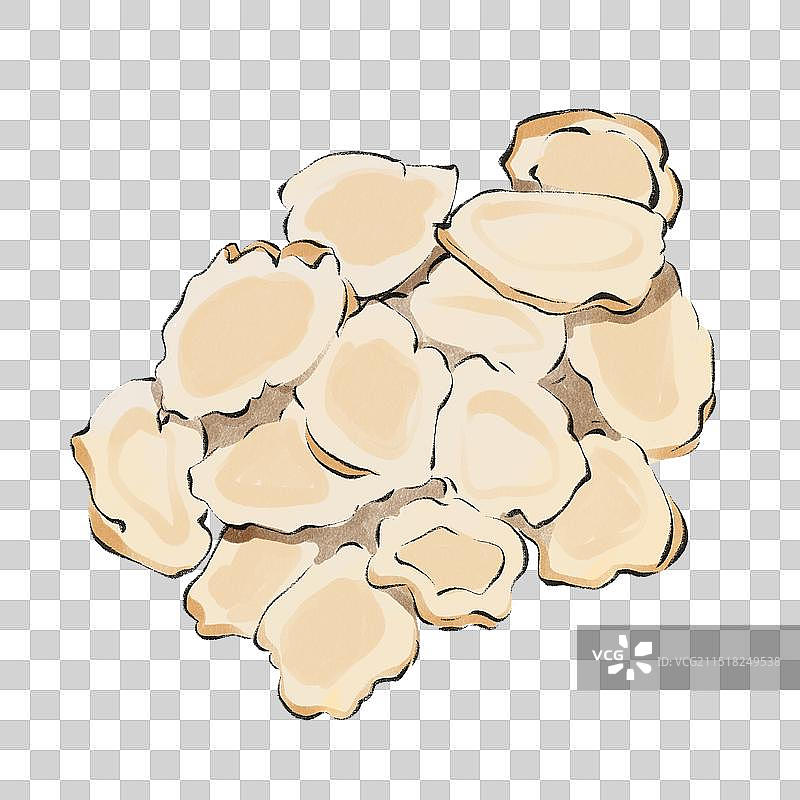 中药药材一桔梗手绘插图元素图片素材