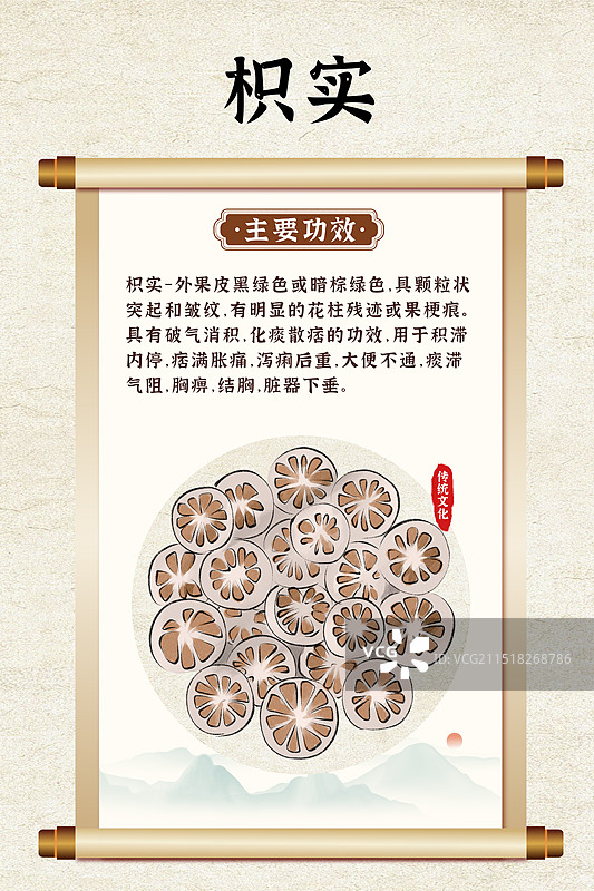 中药药材一枳实的作用和功效介绍手绘插图海报图片素材
