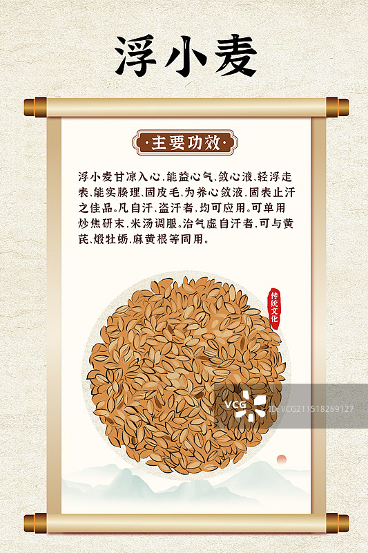中药药材一浮小麦的作用和功效介绍手绘插图海报图片素材