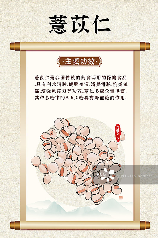 中药药材一薏苡仁的作用和功效介绍手绘插图海报图片素材