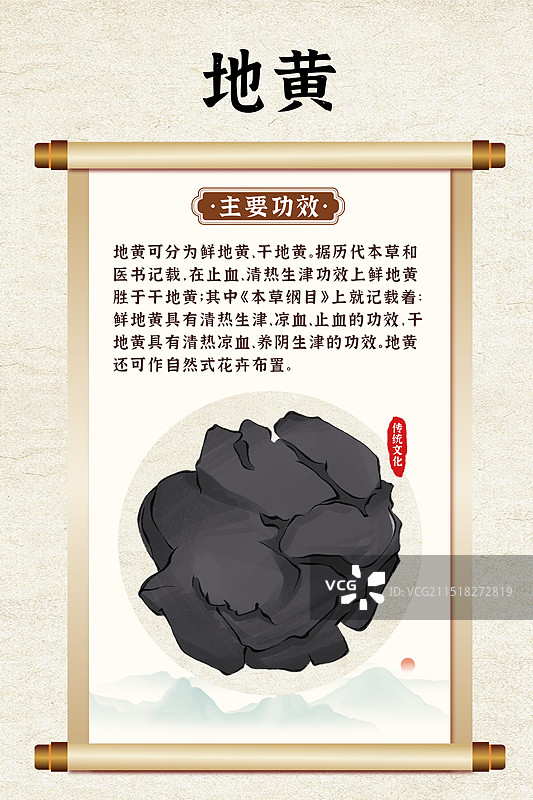 中药药材一地黄的作用和功效介绍手绘插图海报图片素材