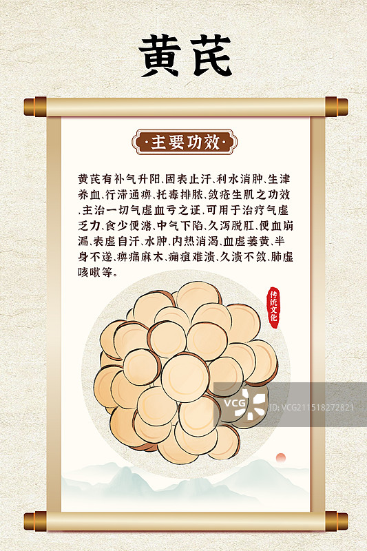 中药药材一黄芪的作用和功效介绍手绘插图海报图片素材