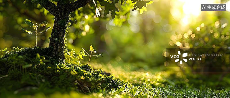 【AI数字艺术】森林背景 一颗树苗发芽 生长 新生命的概念，在土壤中生长的幼苗，环境保护，世界地球日，雨水节气植物图片素材