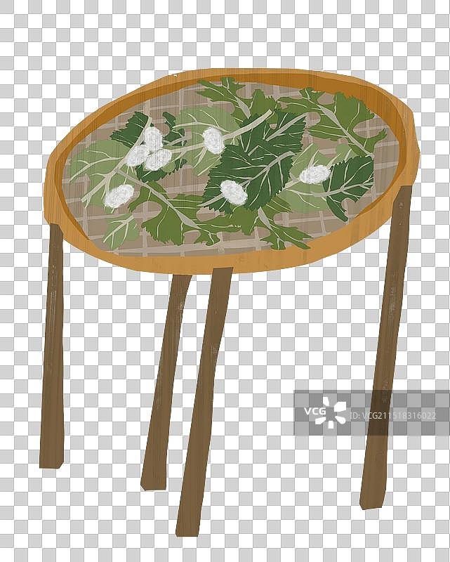 蚕茧插画元素图片素材
