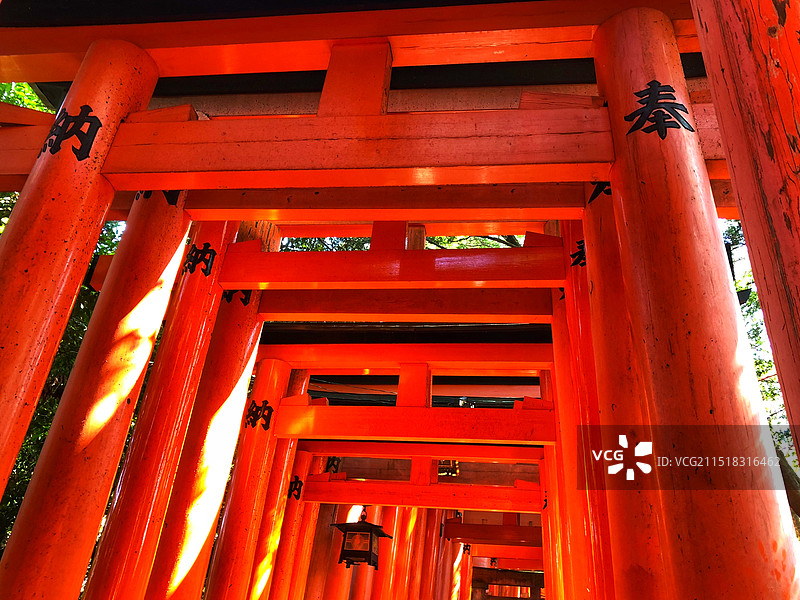 日本京都伏见稻荷大社千本鸟居图片素材