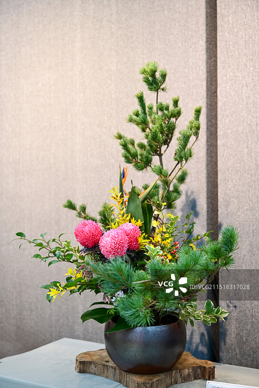 植物插花图片素材