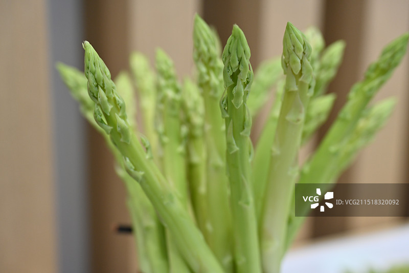 芦笋图片素材