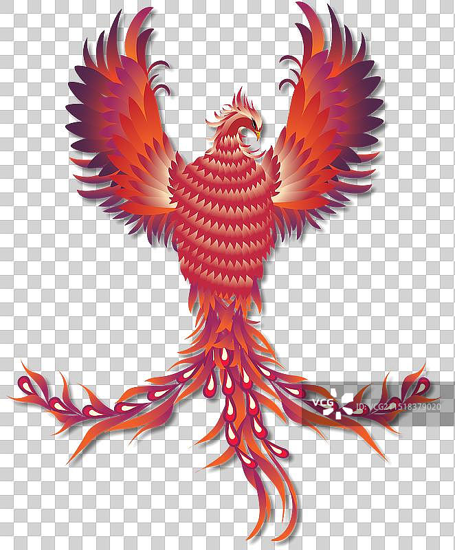 凤凰飞舞渐变效果图片素材