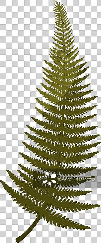 植物花园花卉图片素材